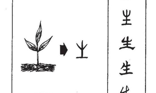 筋骨宁胶囊的功效与作用及副作用-筋骨宁胶囊的功效网-分享筋骨宁胶囊治什么病，筋骨宁胶囊的功效和作用知识库